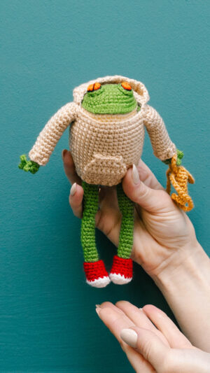 The Hoodie Frog: A Perfect Gift